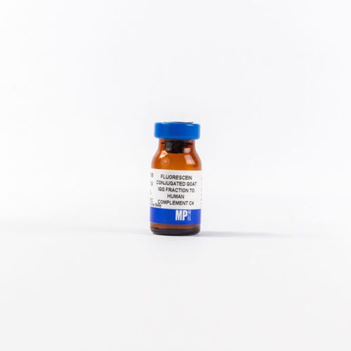 Реактив IgG - 0855168 - MP Biomedicals - антитела / для исследований / для иммуногистохимии