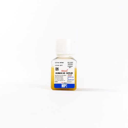 Реактив для протеинов - 092931949 - MP Biomedicals - сыворотки / для исследований / для клеточной культуры