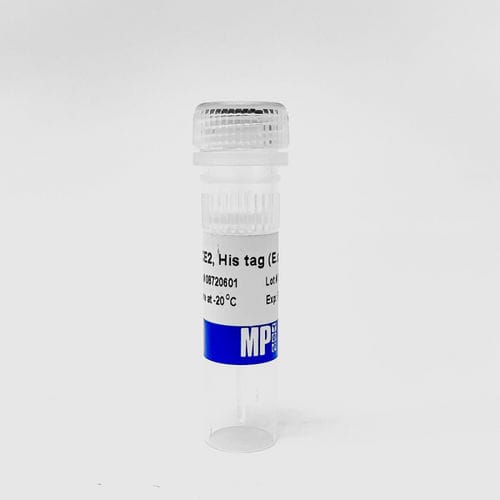 Реактив для протеинов - 0872060-CF - MP Biomedicals - реакционная среда / для исследований / Escherichia coli (кишечная палочка)