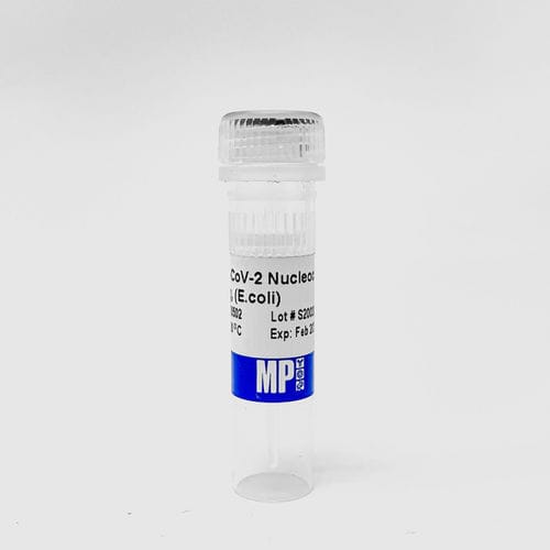 Реактив для протеинов - 0872050-CF - MP Biomedicals - реакционная среда / для исследований / SARS-COV-2