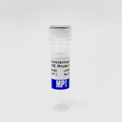 Реактив для протеинов - 08720402 - MP Biomedicals - антитела / моноклональное антитело / для исследований