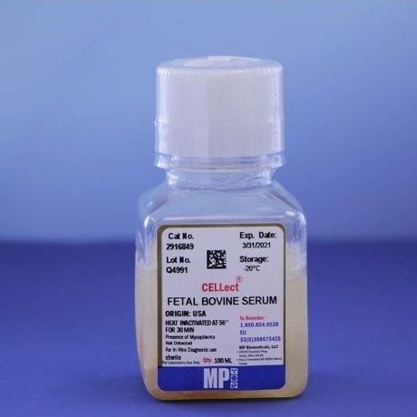 Реактив эмбриональная телячья сыворотка - 0929168-CF - MP Biomedicals - для клеточной культуры / для исследований / жидкость