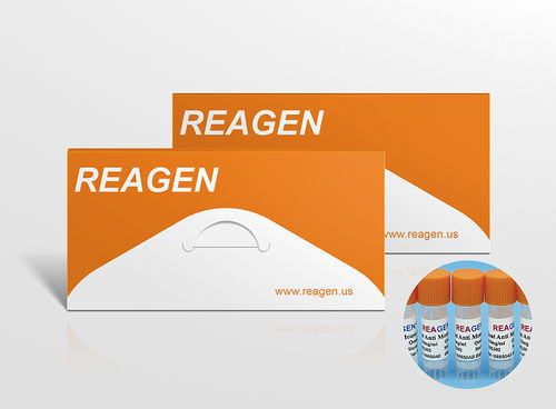 Реактив антиген - RMH88813AG - Reagen - для научных исследований / жидкость / хемилюминесцентный