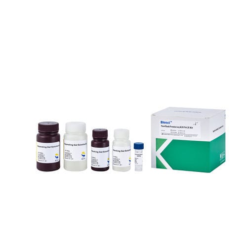 Реактив для вестерн-блоттинга - BioSci™  - Dakewe (Shenzhen) Medical Equipment Co., Ltd. - в растворе / для исследований / для протеинов