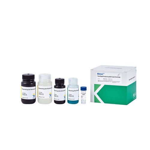Реактив для вестерн-блоттинга - BioSci™  - Dakewe (Shenzhen) Medical Equipment Co., Ltd. - в растворе / для исследований / жидкость
