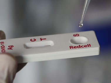 Экспресс-тест COVID-19 - RCCOVST   - Redcell Biotechnology - для антитела / SARS-COV-2 / для носа