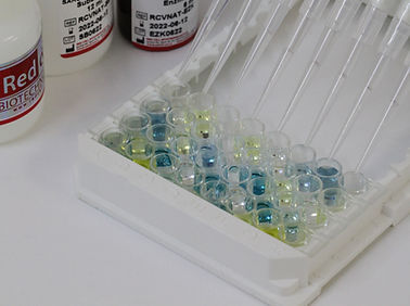 Набор ELISA - Redcell Biotechnology - COVID-19 / устойчивости / на нейтрализующие антитела