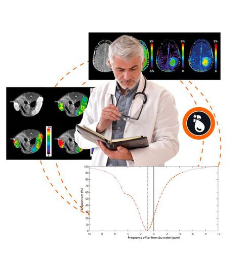 Программное обеспечение для анализа - APT CEST MRI V.1.0 - Olea Medical - для постобработки / для картографии / медицинское