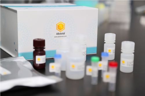 Набор для теста ELISA - RK04149 - ABclonal Technology - для исследований / на нейтрализующие антитела / из меди