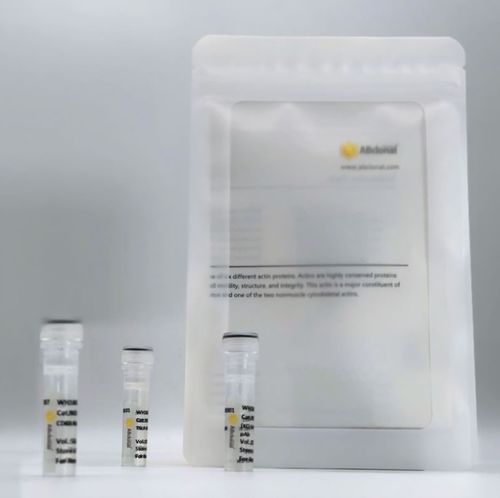 Реактив для теста ELISA - RM17574 - ABclonal Technology - антитела / для диагностики / для синтеза РНК