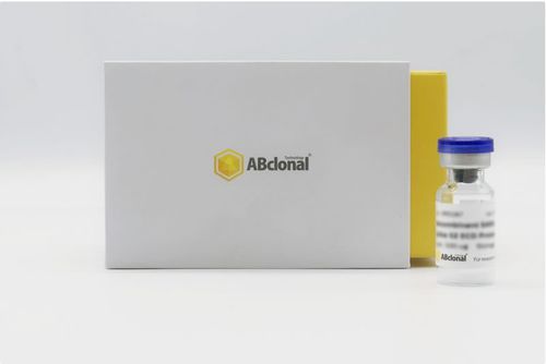 Реактив рекомбинирующий антиген - RP01260LQ - ABclonal Technology - для исследований / SARS-COV-2