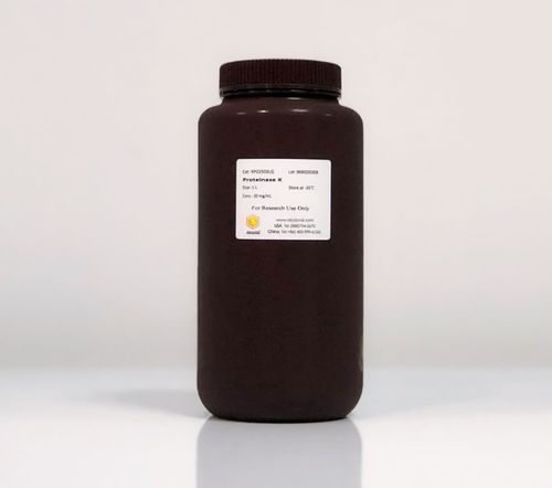 Реактив протеиназа К - RP02503 - ABclonal Technology - для исследований / лиофилизированный / в форме порошка