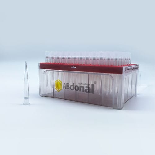 Наконечник пипетки с фильтром - AI200R3 - ABclonal Technology - стерильный