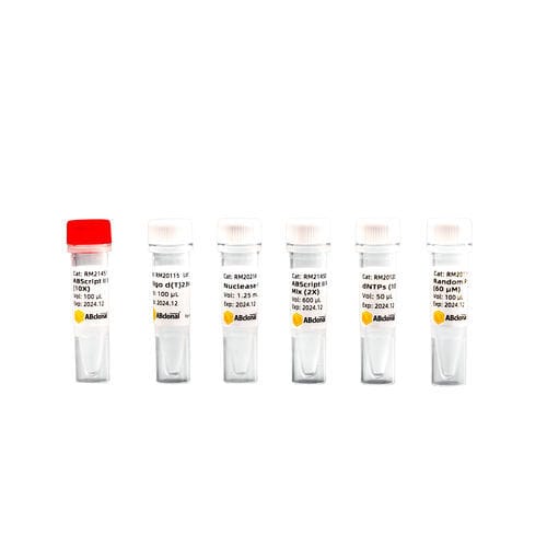 Реактив обратная транскриптаза - RK20400 - ABclonal Technology - для RT-PCR / для синтеза cDNA