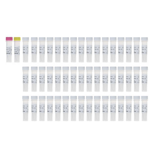 Реактив реакционная среда - RK20294 - ABclonal Technology - для PCR / для обеспечения преемственности нового поколения / для гибридизации