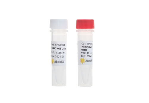 Реактив ДНК-полимераза - RK20526 - ABclonal Technology - для PCR / Escherichia coli (кишечная палочка)