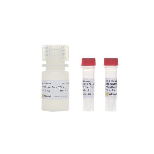 Реактив буферный раствор - RK20346 - ABclonal Technology - фермент / для подготовки банков РНК