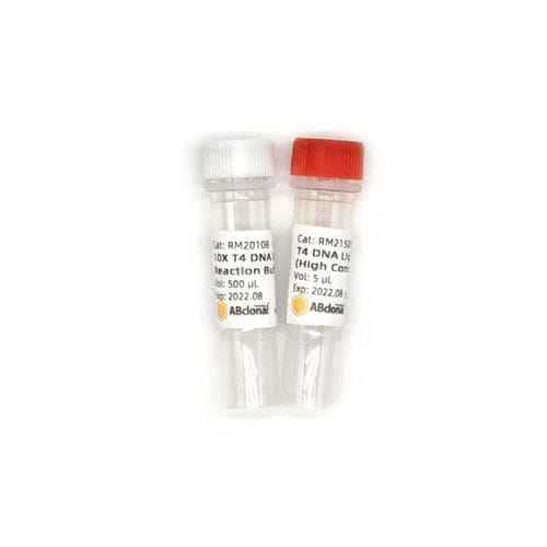 Реактив буферный раствор - RK21500 - ABclonal Technology - ДНК-лигаза / для микробиологии / фосфата