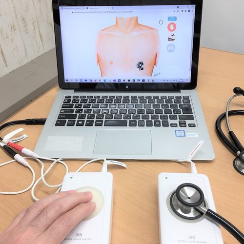 Медицинский симулятор для прослушивания - iPax  - Telemedica Inc. - учебный / для пальпации / жизненно-важных признаков