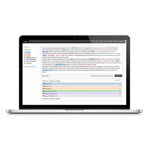 Программное обеспечение для анализа - Savvy - BMD Software - для личных дел пациентов