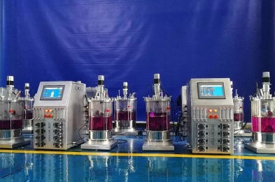 Биореактор батч - 135 - KNIK CO.,LTD. - непрерывного действия / для лабораторий / для клеточной культуры
