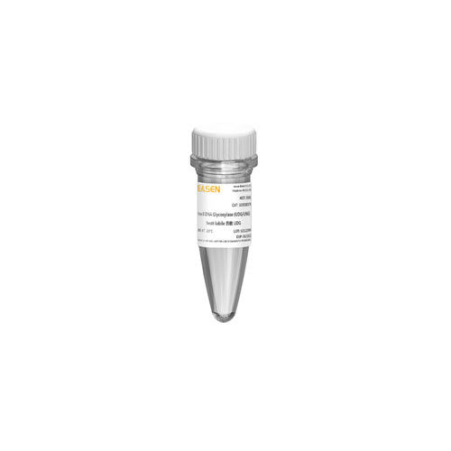 Реактив для PCR - 10184ES series - Yeasen Biotechnology (Shanghai) Co., Ltd - ДНК-полимераза / краситель / для микробиологии