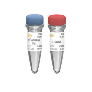 Реактив ДНК-лигаза - 10300ES series - Yeasen Biotechnology (Shanghai) Co., Ltd - для исследований / ATP