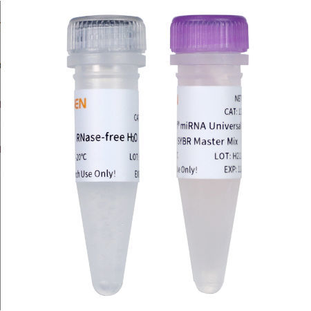 Реактив ДНК-полимераза - 11171ES series - Yeasen Biotechnology (Shanghai) Co., Ltd - краситель / для научных исследований / для qPCR