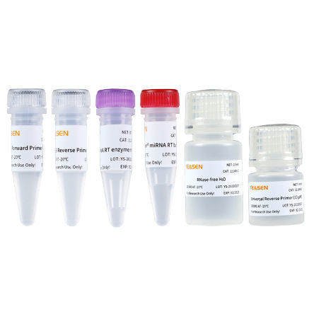 Набор реактивов для синтеза cDNA - 11148ES series - Yeasen Biotechnology (Shanghai) Co., Ltd - фермент / обратная транскриптаза / буферный раствор