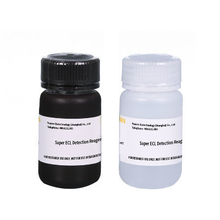 Реактив в растворе - 36208ES series - Yeasen Biotechnology (Shanghai) Co., Ltd - для исследований / для протеинов / для антитела