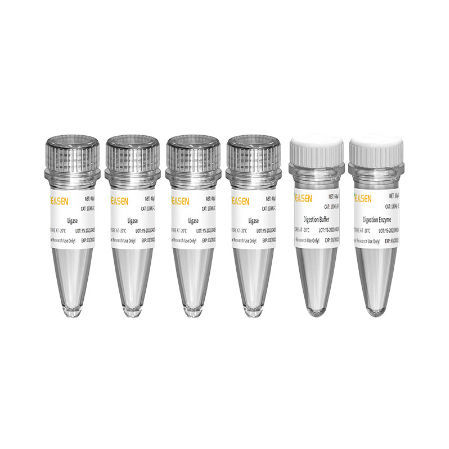 Набор реактивов фермент - Hieff NGS™ - Yeasen Biotechnology (Shanghai) Co., Ltd - cеквенирование нового поколения (NGS) / подготовки банков ДНК
