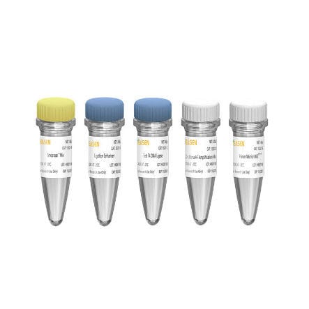 Набор реактивов подготовки банков ДНК - Hieff  NGS™ OnePot II  - Yeasen Biotechnology (Shanghai) Co., Ltd - фермент / cеквенирование нового поколения (NGS) / гены