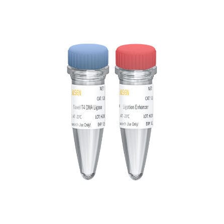 Набор реактивов ДНК-лигаза - Hieff NGS™ - Yeasen Biotechnology (Shanghai) Co., Ltd - для исследований / для последовательности оснований в ДНК