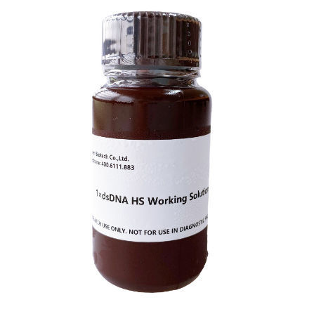 Набор для теста для количественной оценки ДНК - 12642ES series - Yeasen Biotechnology (Shanghai) Co., Ltd - для ДНК / для ДНК / флуоресценцией