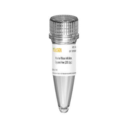 Реактив ингибитор РНКаз - 10703ES series - Yeasen Biotechnology (Shanghai) Co., Ltd - для транскрипции in vitro / лиофилизированный