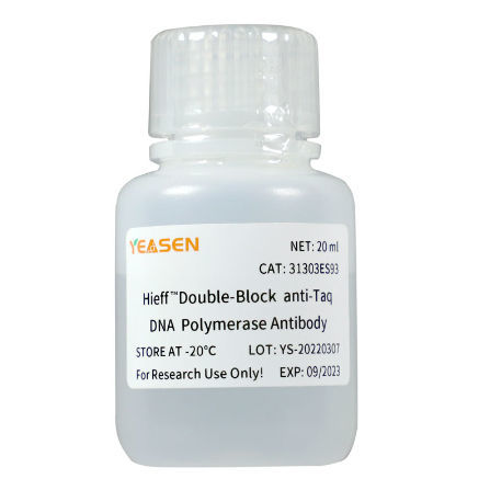 Реактив антитела - Hieff™ - Yeasen Biotechnology (Shanghai) Co., Ltd - моноклональное антитело / ДНК-полимераза / для молекулярной биологии