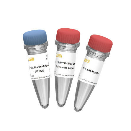Реактив Bst ДНК-полимераза - Hieff™ - Yeasen Biotechnology (Shanghai) Co., Ltd - в растворе / фермент / для молекулярной биологии