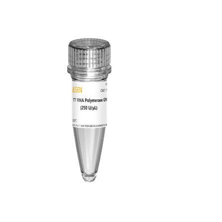 Реактив фермент - 10625ES series - Yeasen Biotechnology (Shanghai) Co., Ltd - для синтеза РНК / жидкость / для монофосфата гуанидина
