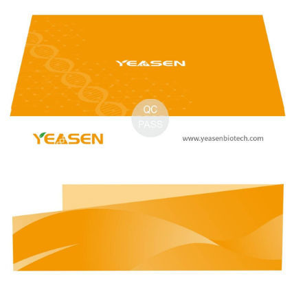 Реактив в растворе - Hieff Trans™ - Yeasen Biotechnology (Shanghai) Co., Ltd - для трансфекции ДНК / для вируcов