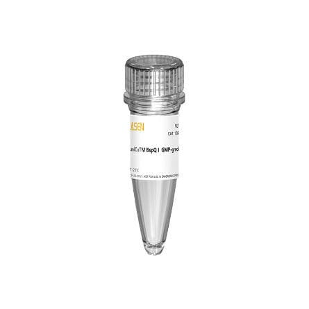 Реактив фермент - 10664ES series - Yeasen Biotechnology (Shanghai) Co., Ltd - для транскрипции in vitro / жидкость / для протеинов