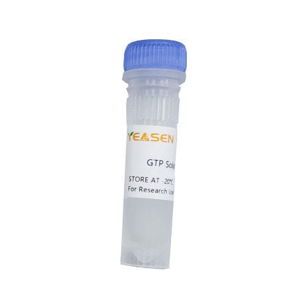 Реактив в растворе - 10132ES series - Yeasen Biotechnology (Shanghai) Co., Ltd - для транскрипции in vitro / для синтеза РНК / жидкость