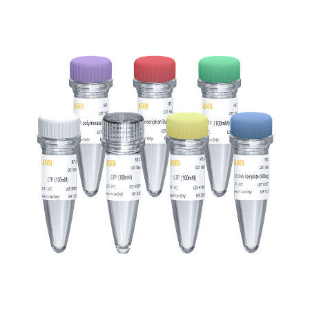 Набор реактивов для синтеза РНК - 10623ES series - Yeasen Biotechnology (Shanghai) Co., Ltd - раствор dNTP / буферный раствор / жидкость