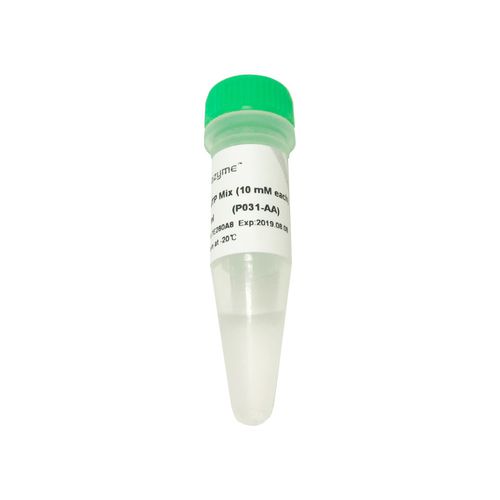 Реактив раствор dNTP - P031-01 - Vazyme - обратная транскриптаза / для PCR / для RT-PCR