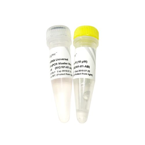 Реактив ДНК-полимераза - MQ101-0 series - Vazyme - краситель / для qPCR / горячий старт