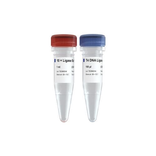 Реактив ДНК-лигаза - C301 - Vazyme - для PCR / для контроля качества / фосфата