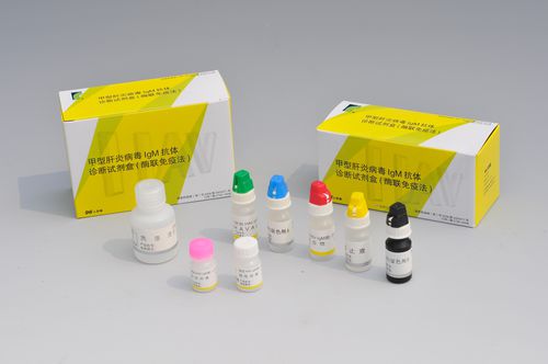 Экспресс-тест гепатит А - Shanghai Rongsheng Biotech Co., Ltd. - иммуноглобулин M / ELISA