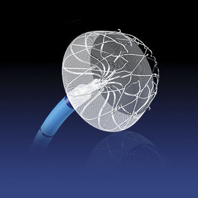 Устройство обтурации для окклюзии ушка левого предсердия - YFDQ-20-1 - Nanjing MDP Medical Technology
