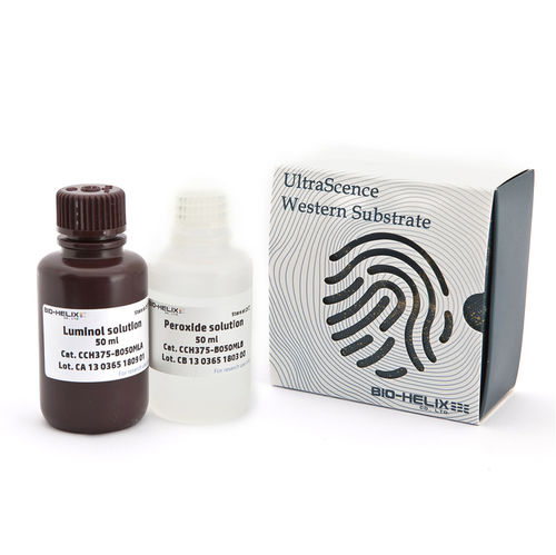 Реактив антитела - UltraScence Femto Plus - Bio-Helix - антиген / IgG / для вестерн-блоттинга