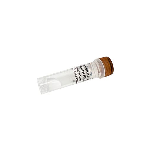 Реактив фермент - PanProbes™ - Bio-Helix - ДНК-полимераза / краситель / для qPCR