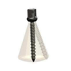 Транспедикулярный винт для грудного позвонка - ISpine PLS-Ⅱ - Zhejiang Jiayou Medical Device - многоосный / металлический